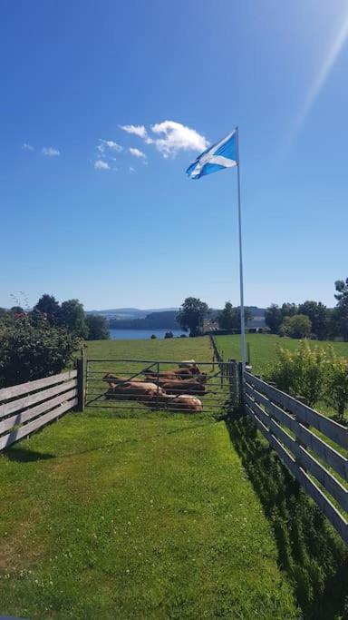 Cosy 2 Bedroom Croft Cottage With Beautiful Views North Kessock Exterior photo